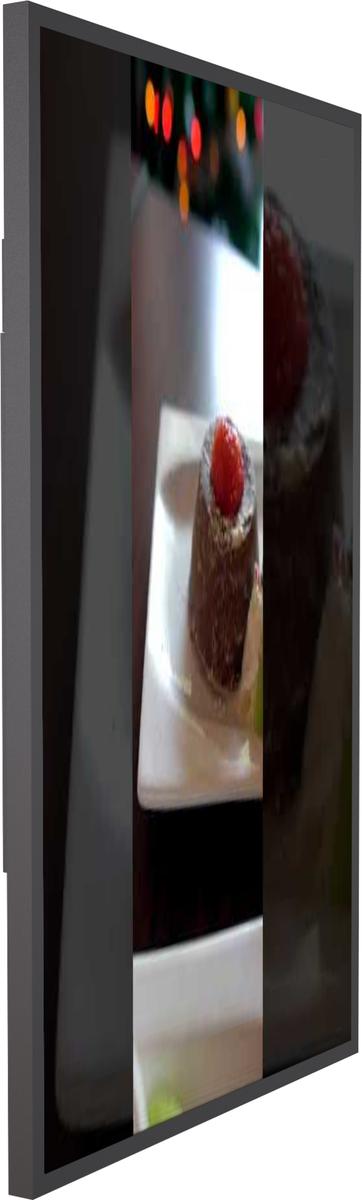 W265-SS 65” Outdoor Wallmount Digital Signage Non Touch 3